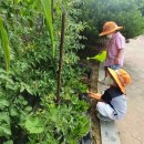 해오름초유치원 이미지