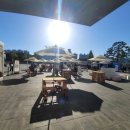 베니스통닭 | [부산] BIFF 국제 영화제 《짱구》 무대인사, 대기 꿀팁, 생생한 현장 후기!