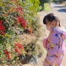 대청민박 이미지