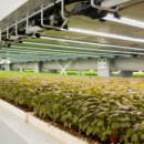 재정농장 이미지