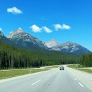 파크필드 이미지