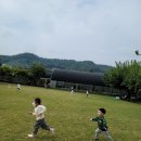 누렁이과수원