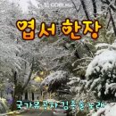 박*일 Daum카페