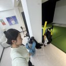 대성스크린골프 | 울산 골프핏 스튜디오 레슨 후기｜데이터로 교정되는 프리미엄 골프연습장