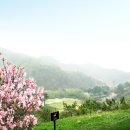 마이다스밸리 청평 골프 클럽 이미지