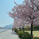 죠샌드위치 하남미사점 이미지