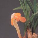 (주)금화 이미지