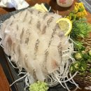 숙성로바다길 | 의정부 횟집 맛집@ 숙성로바다길 내돈내산 후기