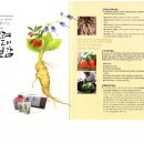 지리산하옹고 이미지