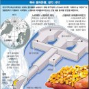 식물의 멸종을 대비한 씨앗종자 보관소, 시드볼트 (지구가 종말 할 경우 유용한 정보!🙂) 이미지