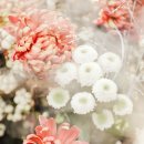 힐링 미니 이미지