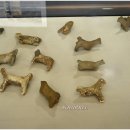 국립순천대학교 이미지