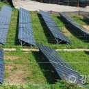 경작해야 할 농지에 태양광발전사업 개발 허가는 잘못 기사 이미지