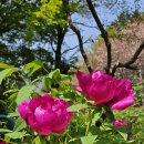 와룡마을 이미지