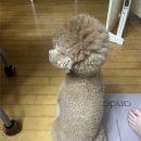 [성복동 헬스장] 운동 동기부여에는 역시 그룹PT | MVM 휘트니스 iPT 5주차 후기 (내돈내산)