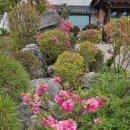 명가칼국수 이미지