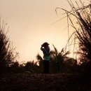 배프로골프 이미지