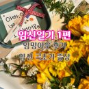 임밍아웃 후기 남편과 부모님의 반응 임신 극초기증상 까지