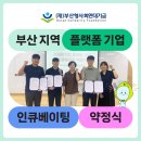 (주)비멕스 네이버블로그