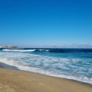 웨이블루 이미지