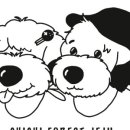 서귀고양이 이미지