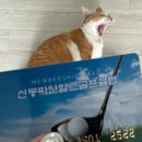 신동파인힐스 이미지