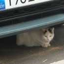 기분조은타이어 | [26-5] 저 하늘에 널 향한 빛이 보이니?