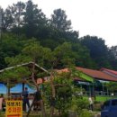 뚝방가든 이미지