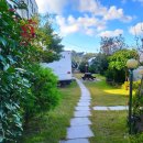 애월 밤별 이미지