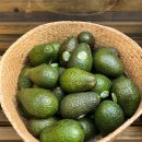 땡스오트 연남 이미지