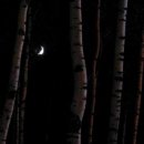 달과별의집민박 이미지