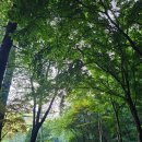 반교리 버스정류장(간이화장실) | [공복 등산 후기] 초보자도 가능한 광교산 등산 코스 추천 &amp; 입문가이드