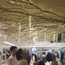 탁구 & 당구 이미지