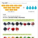 밸류어스 이미지