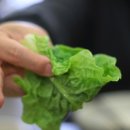 원조조방낙지 인동점 이미지