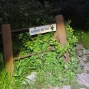 (8월) “여기 이름 좀 바꿔야 하지 않을까요?” -지리산 주릉 천천히 걷기. 일부 발췌- 이미지