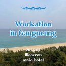 슈퍼맨 PC Cafe | 봄이 오는 바다 앞에서, 강릉 워케이션(Workation) 시작 🌼 | 일로오션 &amp; 아비오호텔 소개