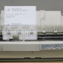 유지도트 이미지