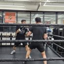 용인대SM복싱클럽 길동점 이미지