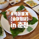 송어회담