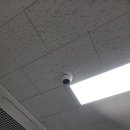 선명약국 이미지