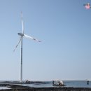 신창싱계물 이미지