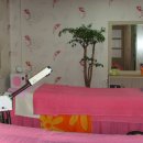 이제 부산 이미지