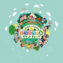 슬로우캠프 이미지
