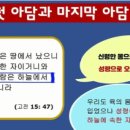 양*종 이미지