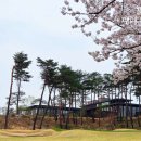 (주)파인그룹 이미지