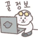 모모애견미용실 이미지