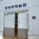 무럭무럭농장