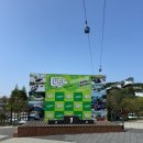 동화약품(주)부산지점 | 부산아이랑 스카이라인 기장 루지 내돈내산 후기 통영 루지 비교
