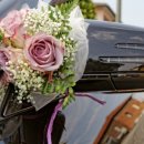 탑카서비스 이미지